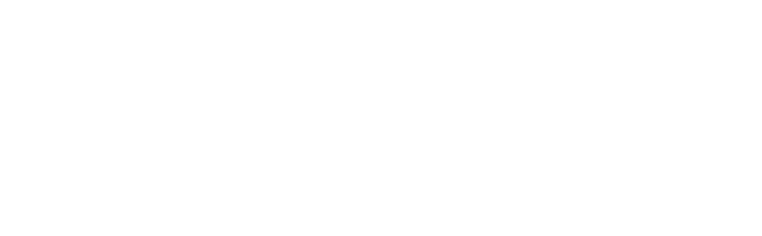 Wintellisys, Inc.
